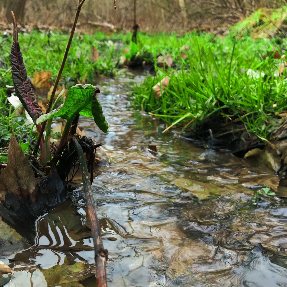 Meet your Posher, Jett